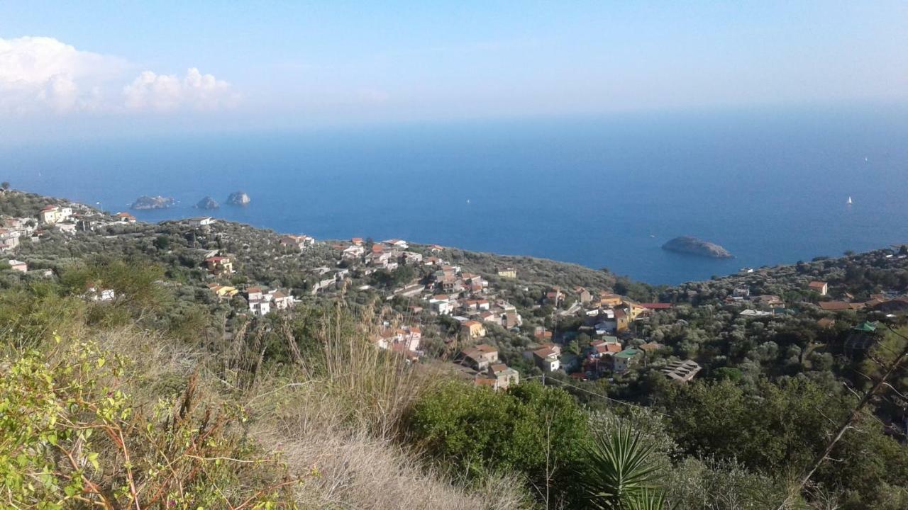 Madar Home SantʼAgata sui Due Golfi Buitenkant foto